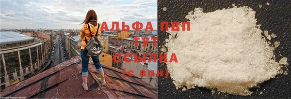 СК Покачи