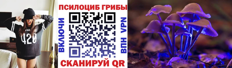 Галлюциногенные грибы GOLDEN TEACHER Ртищево