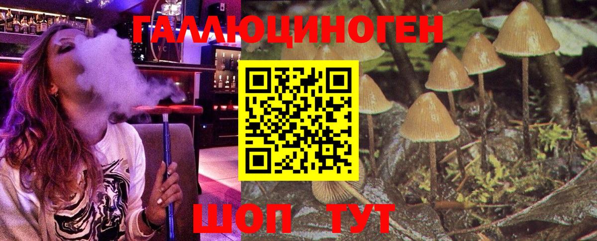 Псилоцибиновые грибы Psilocybe Ртищево